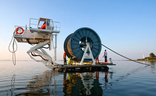 Meta to Build Petal Subsea Cable