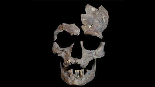 25,000-Year-Old Drug Use Found