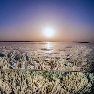 Earth Passes 7 Safety Limits